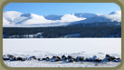Frozen Loch Morlich and Cairngorm Ski Slopes
