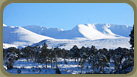  Rothiemurcus towards Cairngorm